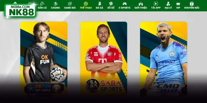 Kho thể thao nhiều giải đấu chất lượng